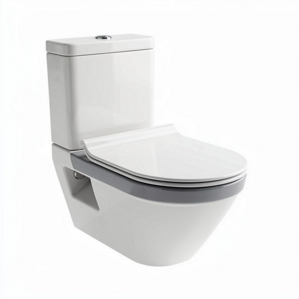 One-piece ceramic toilet with elongated bowl and soft-close seat 65 x 38 x 40cm